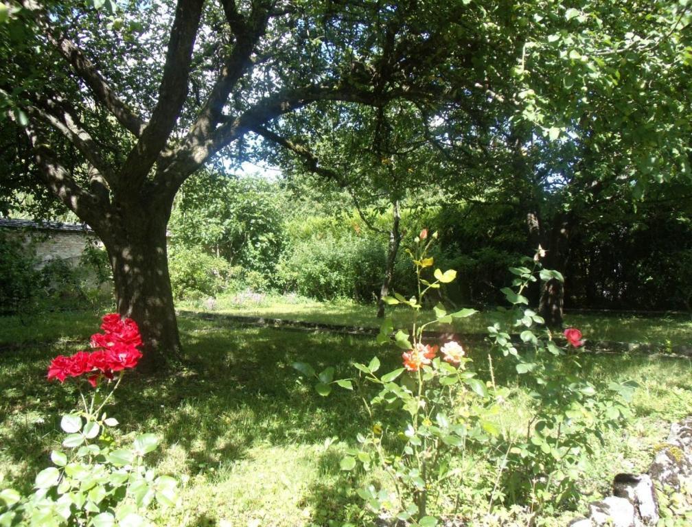 Le Grand Jardin Beaune (Cote d'Or) Exterior foto
