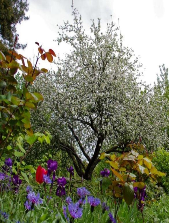 Le Grand Jardin Beaune (Cote d'Or) Exterior foto